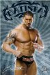 WWE-Batista-SP0518.jpg
